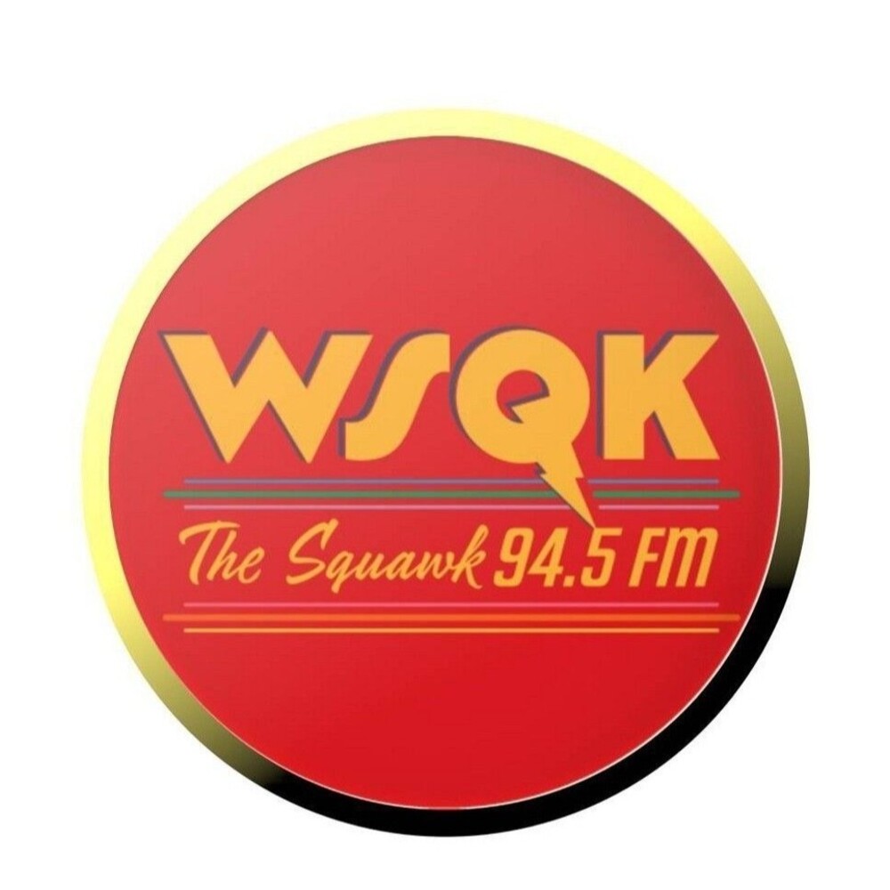 Limited Edition Stranger Things PopSocket WSQK The Squawk 94.5 FM Netflix New!